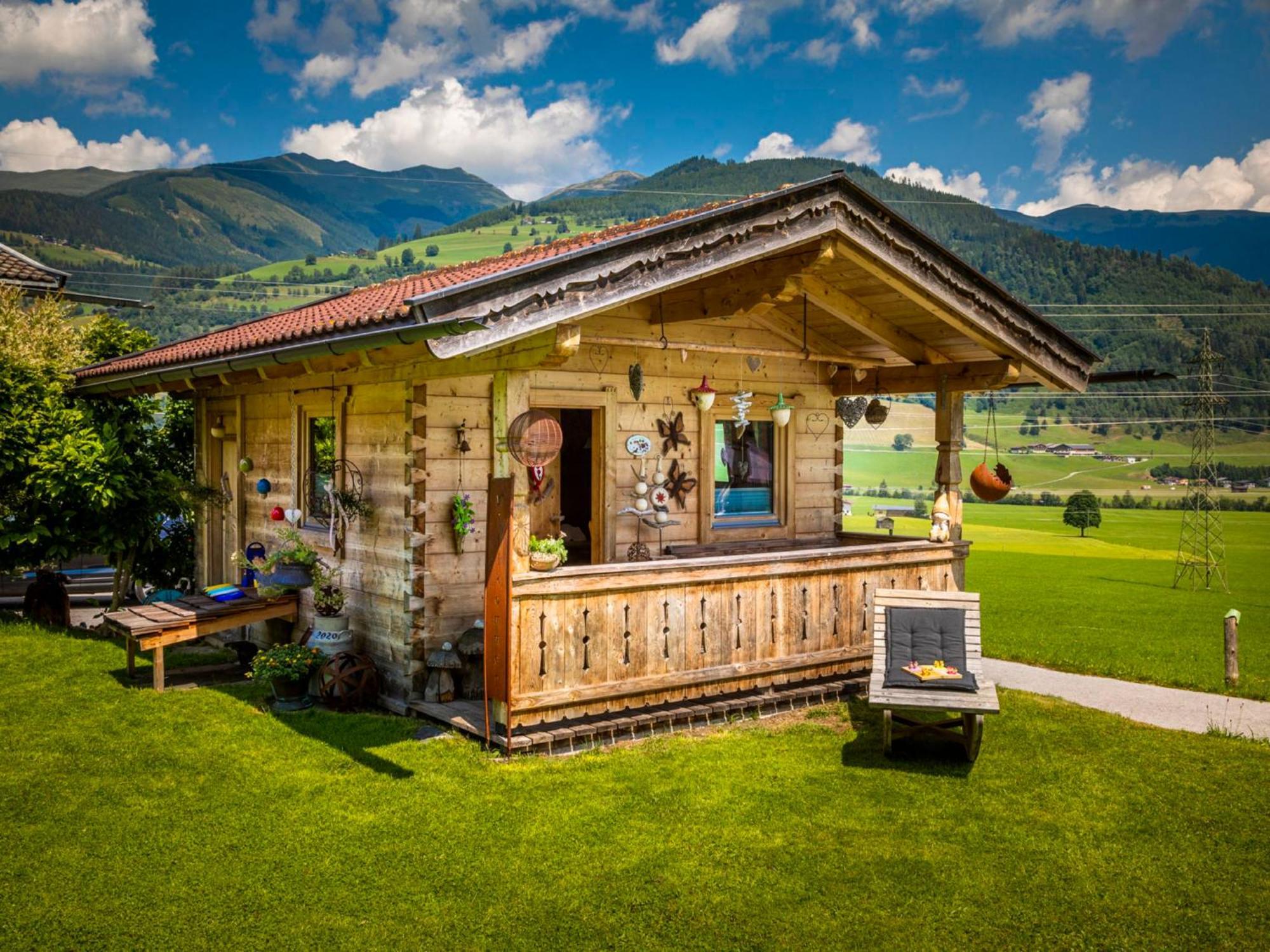 Holiday Home Erlachhof By Interhome Niedernsill Εξωτερικό φωτογραφία