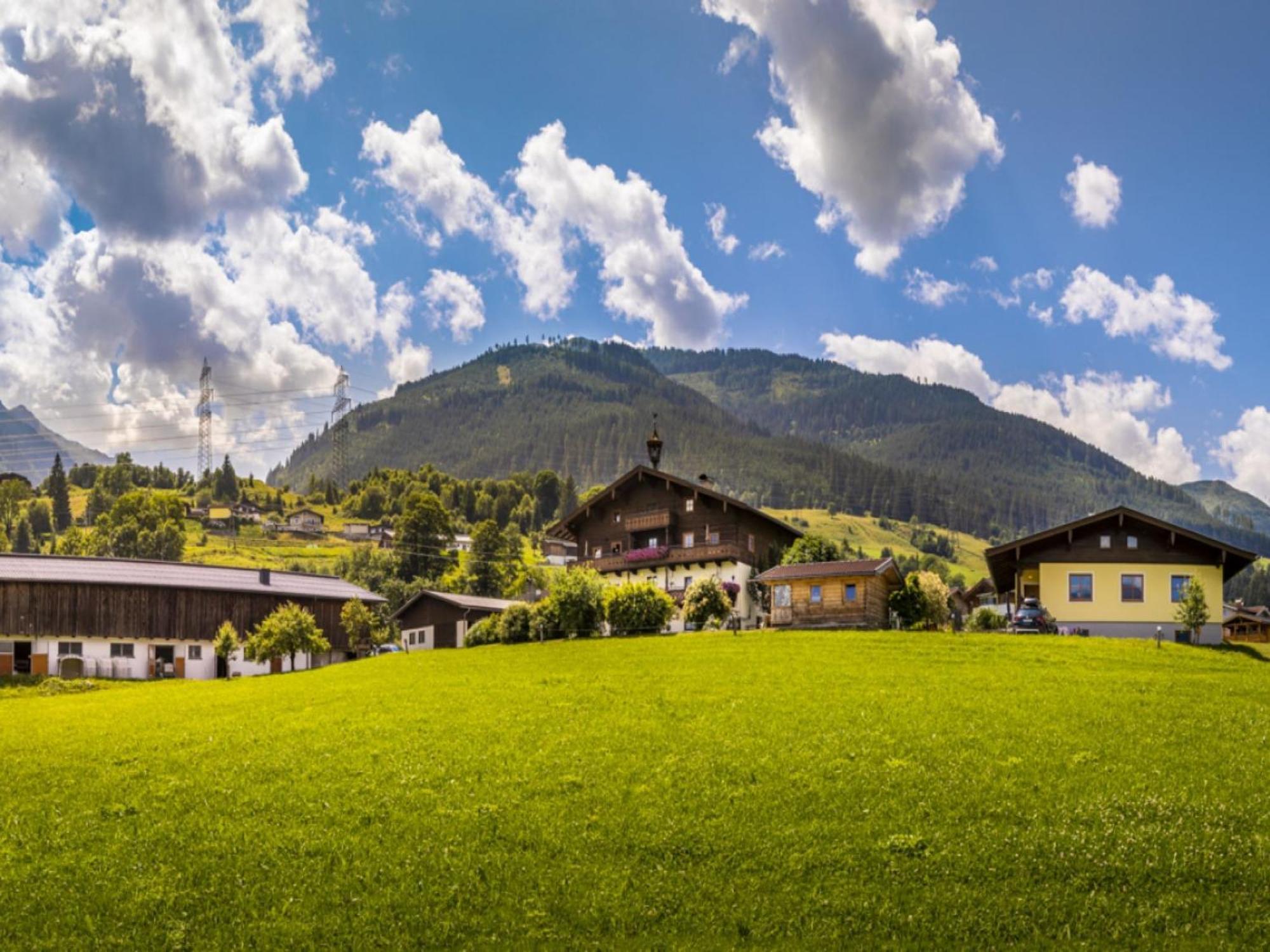 Holiday Home Erlachhof By Interhome Niedernsill Εξωτερικό φωτογραφία